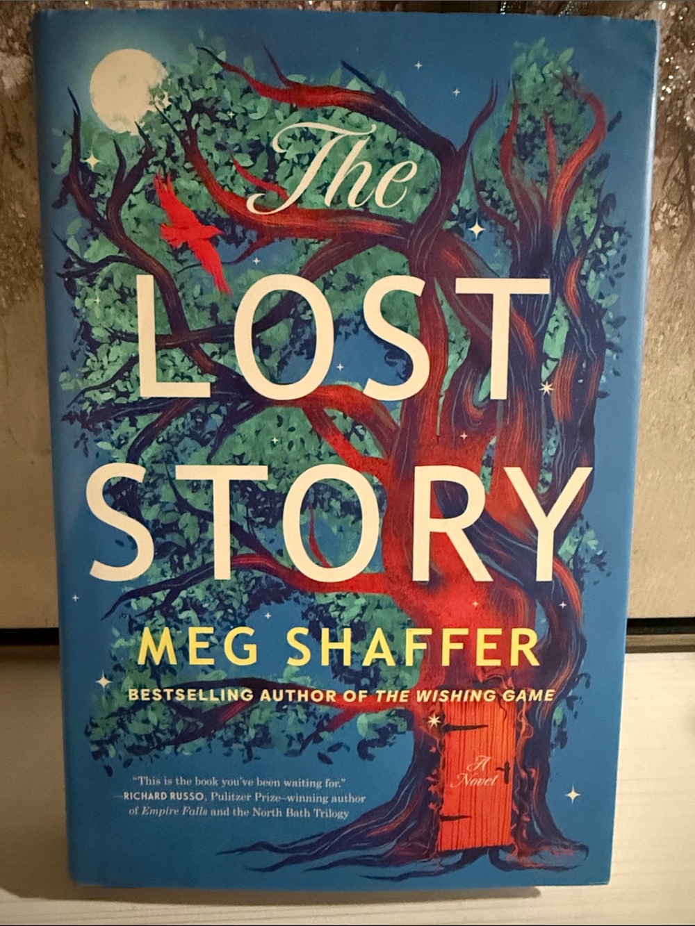 The Lost story by Meg Schaeffer